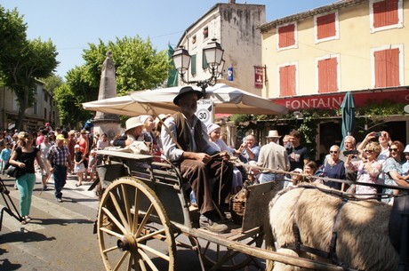 saint-remy-de-provence