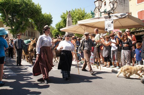 saint-remy-de-provence