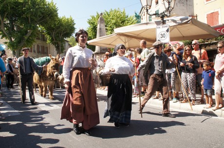 saint-remy-de-provence