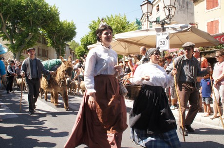 saint-remy-de-provence