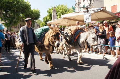 saint-remy-de-provence
