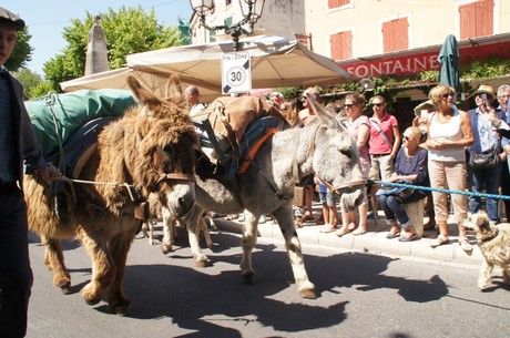 saint-remy-de-provence