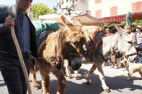 saint-remy-de-provence
