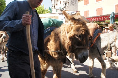 saint-remy-de-provence