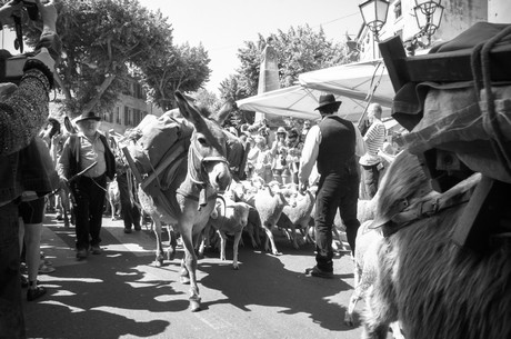 saint-remy-de-provence