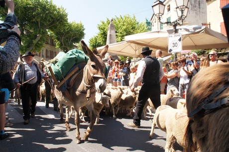 saint-remy-de-provence
