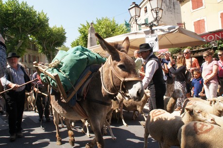 saint-remy-de-provence