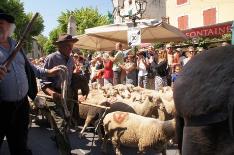 saint-remy-de-provence