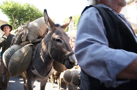 saint-remy-de-provence