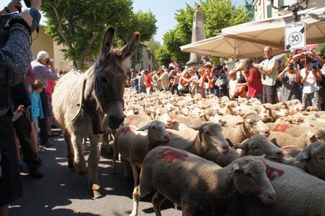 saint-remy-de-provence