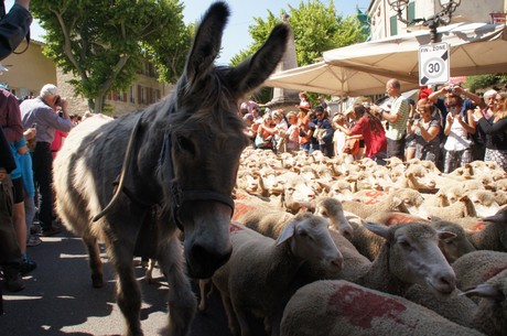 saint-remy-de-provence