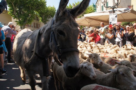 saint-remy-de-provence