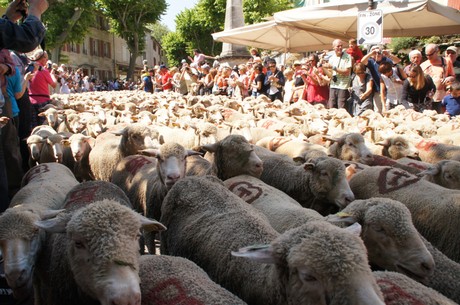 saint-remy-de-provence