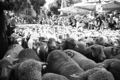 saint-remy-de-provence