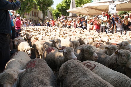 saint-remy-de-provence