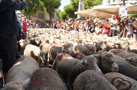 saint-remy-de-provence