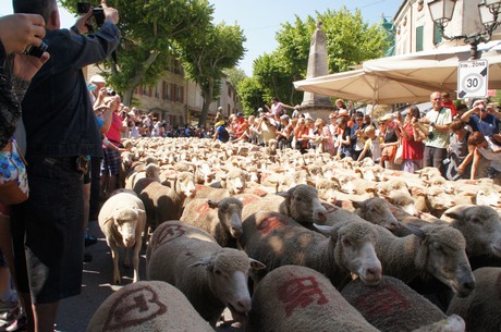saint-remy-de-provence