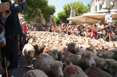 saint-remy-de-provence