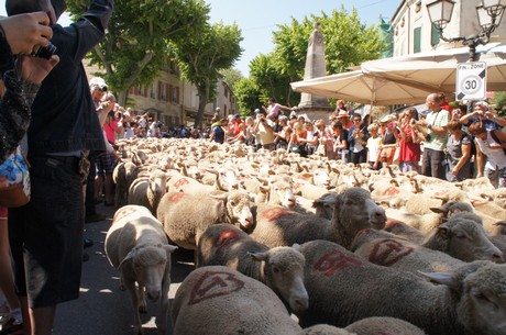 saint-remy-de-provence