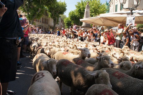 saint-remy-de-provence