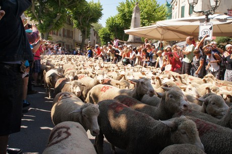 saint-remy-de-provence