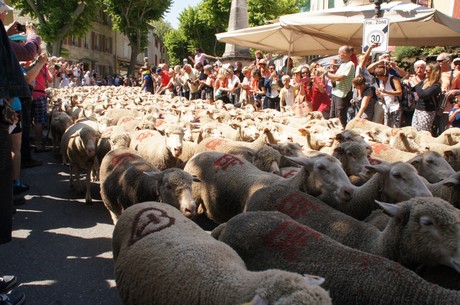 saint-remy-de-provence