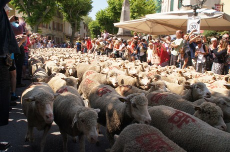 saint-remy-de-provence