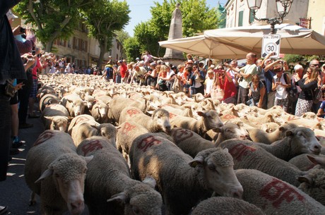 saint-remy-de-provence