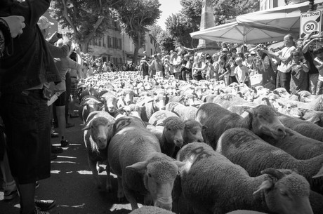 saint-remy-de-provence
