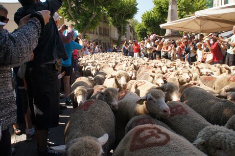 saint-remy-de-provence