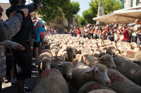 saint-remy-de-provence