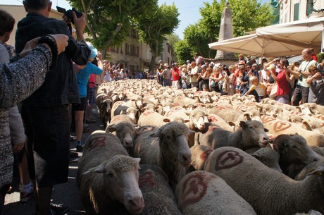 saint-remy-de-provence