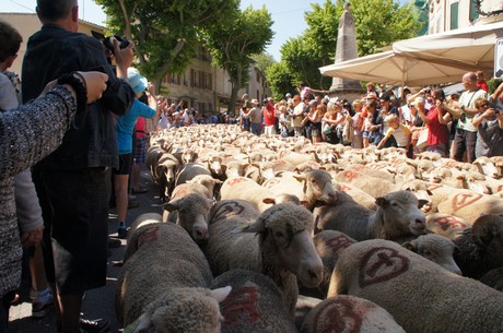 saint-remy-de-provence