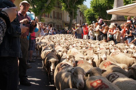 saint-remy-de-provence