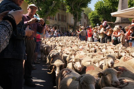 saint-remy-de-provence