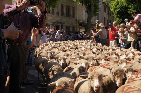 saint-remy-de-provence
