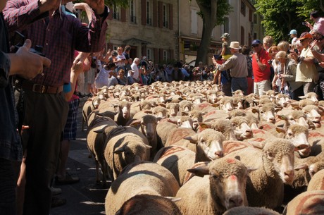 saint-remy-de-provence