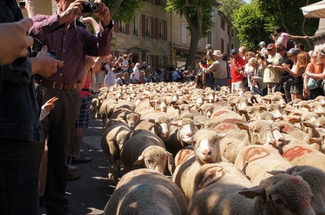 saint-remy-de-provence