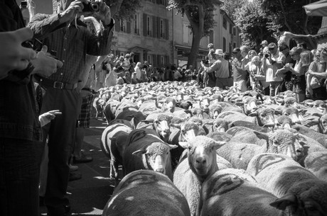 saint-remy-de-provence