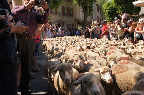 saint-remy-de-provence