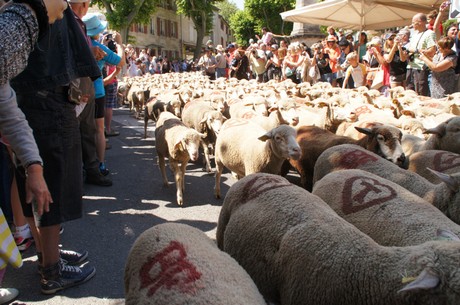saint-remy-de-provence