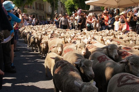 saint-remy-de-provence
