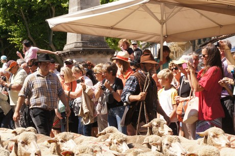 saint-remy-de-provence