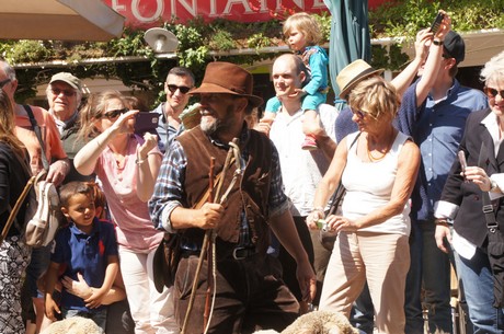 saint-remy-de-provence