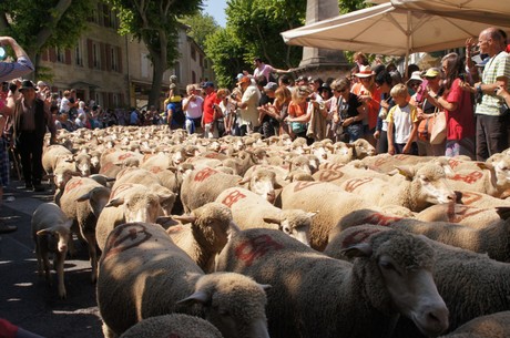 saint-remy-de-provence