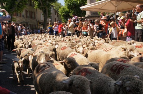saint-remy-de-provence