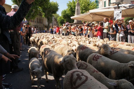 saint-remy-de-provence