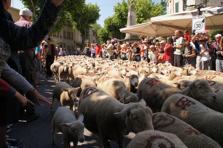 saint-remy-de-provence