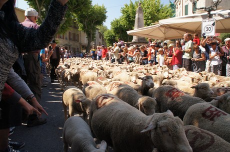 saint-remy-de-provence