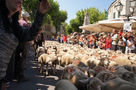 saint-remy-de-provence